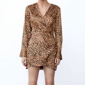 Zara Leopard Dress